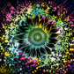Color Splash Sunflower- Ready To Press Sublimation Transfer Print Sublimation