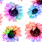 Colorful Flowers - 16Oz Vinyl Glass Can Wrap Sublimation