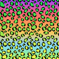 Colorful Leopard - Vinyl Wrap