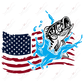 Fish And Flag - Htv Transfer