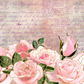 Flowers On Paper - Ready To Press Sublimation Transfer Print Sublimation