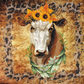 Leopard Cow Wrap - Ready To Press Sublimation Transfer Print Sublimation