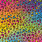 Neon Leopard - Ready To Press Sublimation Transfer Print Seamless 2/24 Sublimation