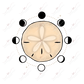 Sand Dollar- Clear Cast Decal