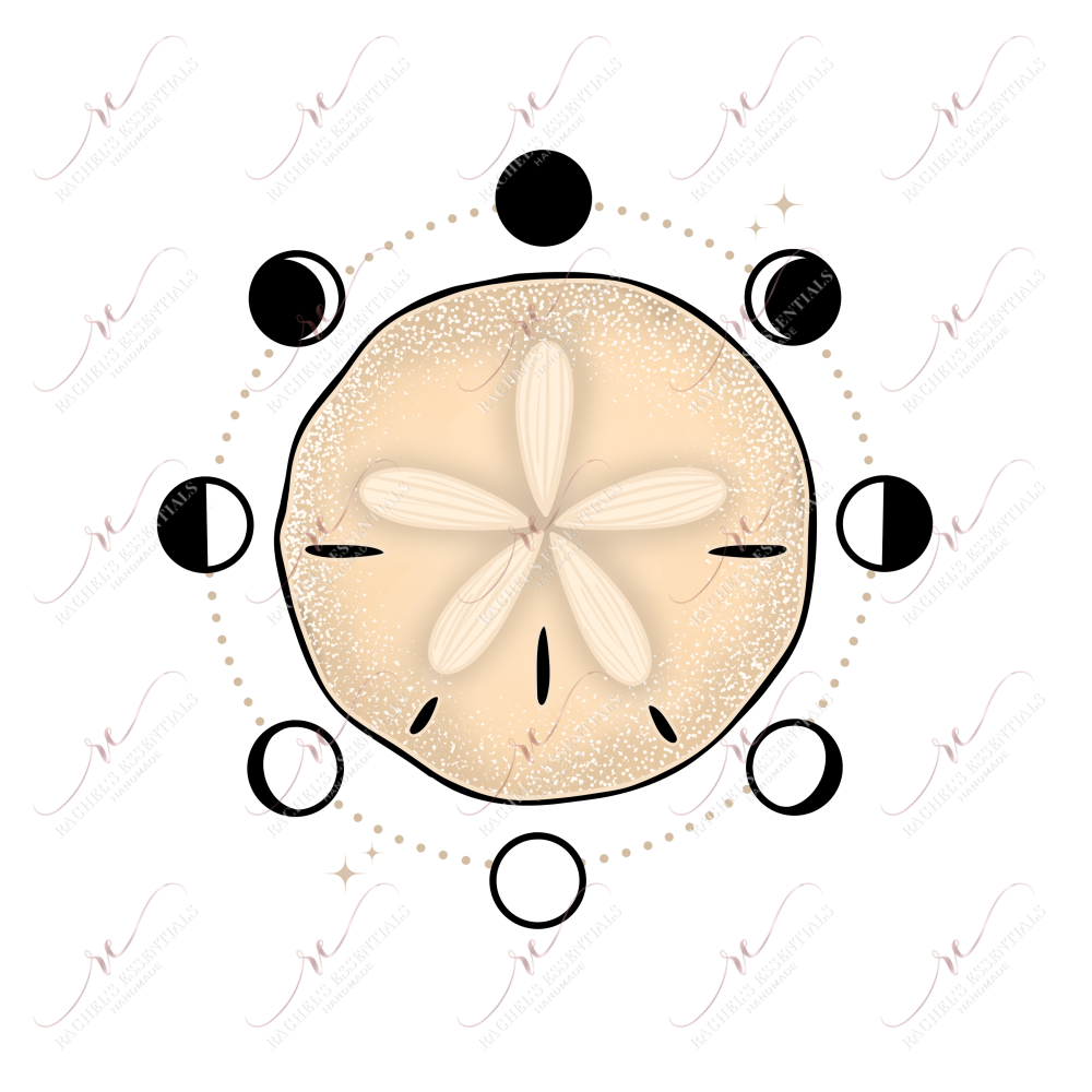Sand Dollar- Clear Cast Decal