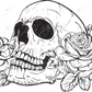 Skull - Clear Cast Decal