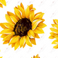 Sunflowers - Vinyl Pen Wrap