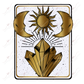 Tarot - Clear Cast Decal
