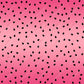 Watermelon Seeds - Vinyl Wrap