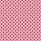 Watermelon Seeds - Vinyl Wrap